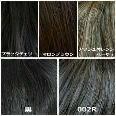 画像20: 幅広つむじタイプ！ロングタイプ☆ショートタイプ☆2タイプ☆トップピース【全5色】 (20)