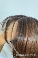 画像29: front ＆つむじＩlace wigフェザーバングオーラレイヤー 【2Colors】 (29)